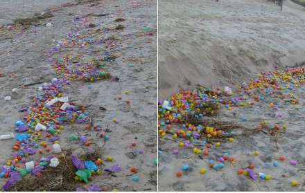 Dəniz sahilində içərisində oyuncaqlar olan minlərlə yumurta tapılıldı - VİDEO